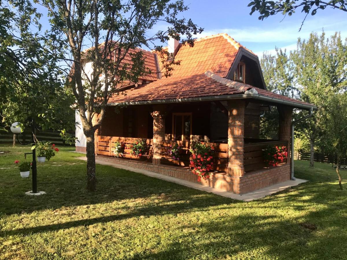 شقة Seosko Domacinstvo Bondzulic Užice المظهر الخارجي الصورة