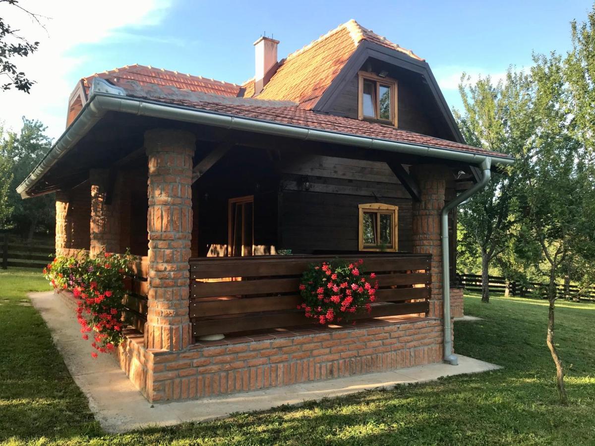 شقة Seosko Domacinstvo Bondzulic Užice المظهر الخارجي الصورة