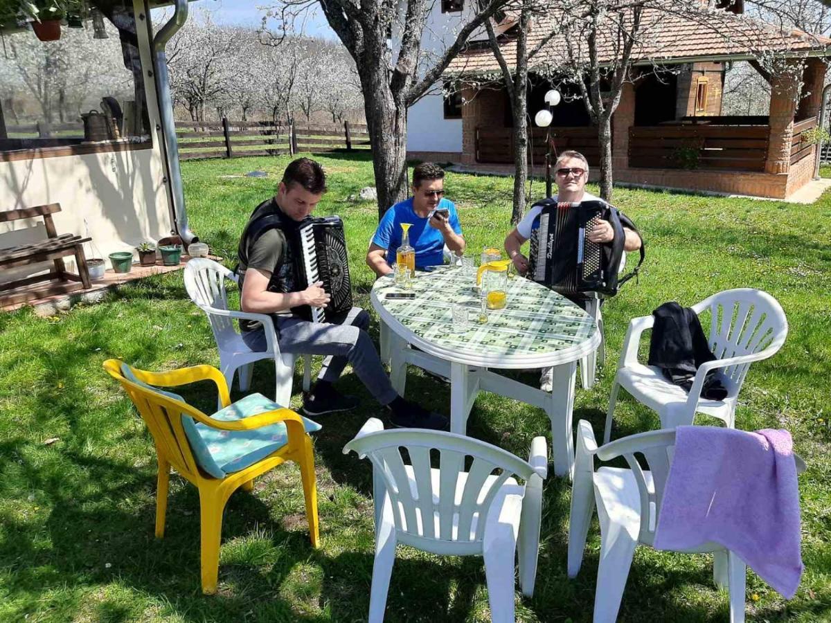 شقة Seosko Domacinstvo Bondzulic Užice المظهر الخارجي الصورة
